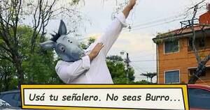 La Nación / “Gilberto, el burro”: Asunción lanzó cómica campaña de educación vial y causó furor