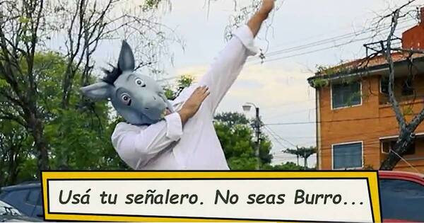 La Nación / “Gilberto, el burro”: Asunción lanzó cómica campaña de educación vial y causó furor