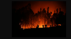 Paraguay transmite su solidaridad a Chile por muertes y daños causados por incendios forestales - Revista PLUS