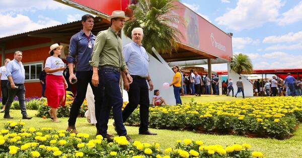 La Nación / Peña asegura que se consolida el proceso de unidad y apunta a captar votos no colorados