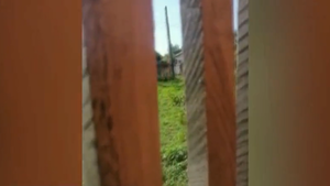 Filman a mujer propinando brutal golpiza a su hija
