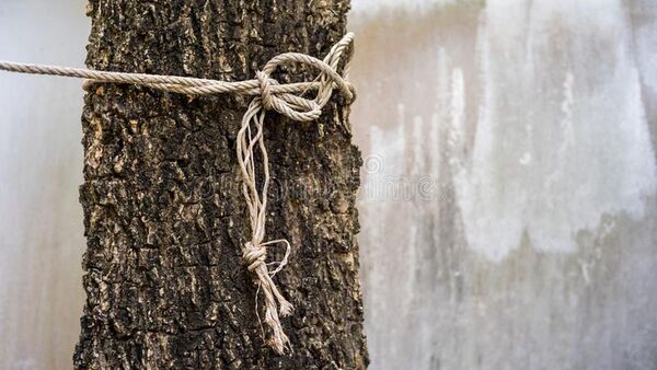 Acusó a su sorbino de 12 años de robarle y le ató a un árbol