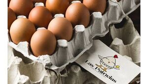Las Patricias produce 7.500 huevos por día (de gallinas libres de jaulas que escuchan música 24/7)