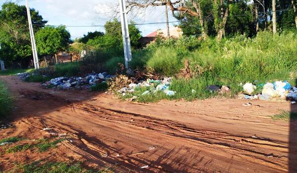 Vertedero clandestino sirve de criaderos de mosquitos en Luque •