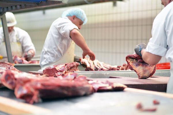 Volúmenes de exportación de carnes aumentaron 11% en enero - MarketData