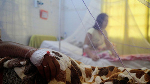 Chikungunya: Salud pide rápida consulta ante síntomas | OnLivePy