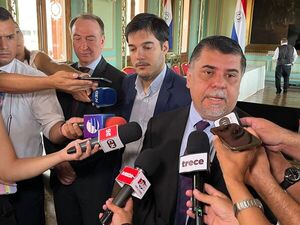 Paraguay registra 14 fallecidos por chikungunya y 103 pacientes internados - .::Agencia IP::.