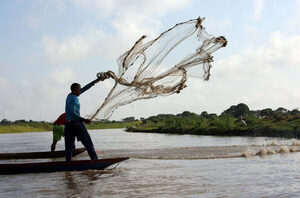 La pesca indiscriminada en el Caribe colombiano está ahogando a los peces - MarketData