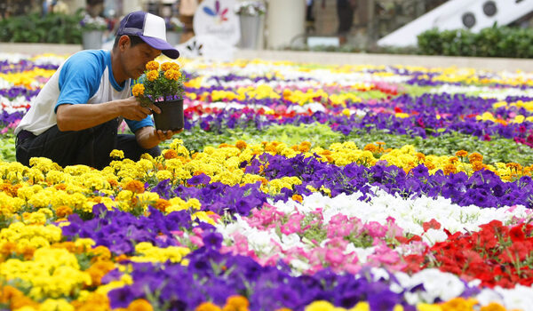 La moda, flores y tecnología de Colombia llegan a todo el mundo en febrero - MarketData