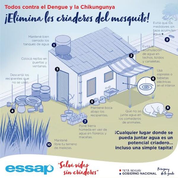 Diario HOY | Chikunguña: Essap pide reportar medidores sin tapa para su reposición