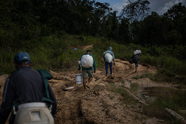 Autoridades de Brasil comienzan a tomar el control de la tierra Yanomami - MarketData
