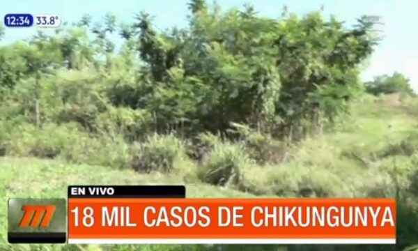 Preocupa el avance de Chikungunya en el país | Telefuturo