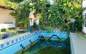 Aprueban ampliar emergencia en Asunción, en medio de críticas - Nacionales - ABC Color