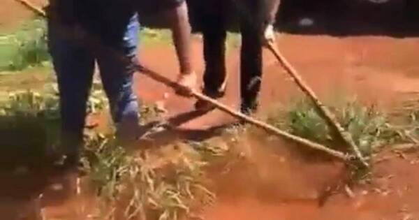 La Nación / Policías fueron retenidos por nativos y obligados a limpiar un campo en Canindeyú