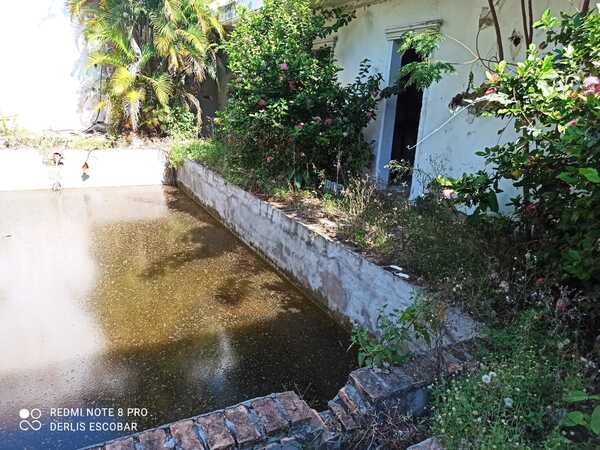 Instan a denunciar a vecinos puercos | 1000 Noticias