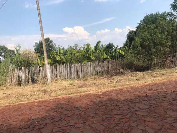 Vecinos de Lambaré denuncian un patio baldío y temen por dengue y chikungunya