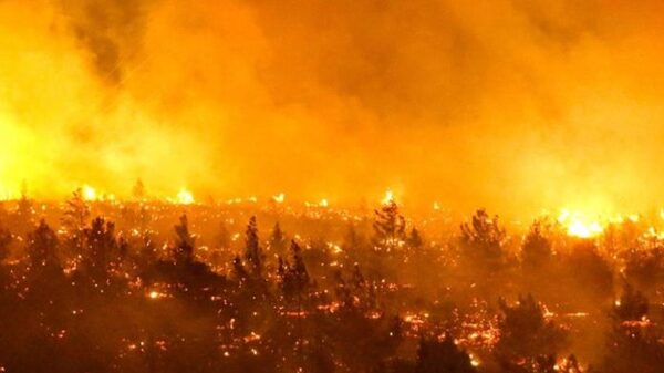 INCENDIOS FORESTALES NO DAN TREGUA EN CHILE Y EL “SÚPER AVIÓN” SUFRIÓ UN DESPERFECTO TÉCNICO - Itapúa Noticias