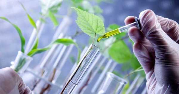 CONACYT invita a postular a los cursos para la formación de recursos humanos en biotecnología