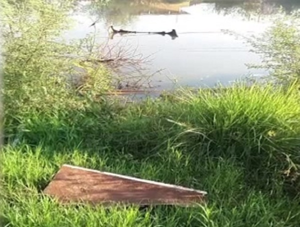 Capiatá: Gigantesco criadero de mosquitos - C9N