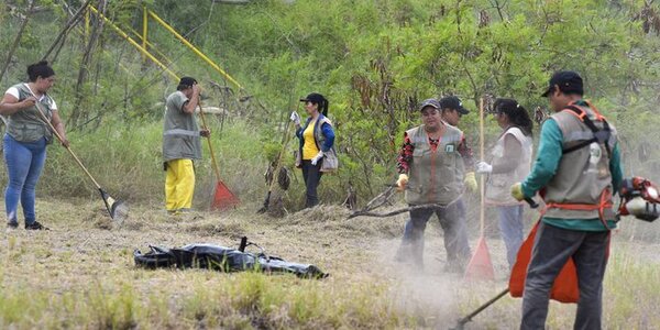 Chikungunya: “Fumigación no es suficiente”, advierte Senepa y pide eliminar criaderos