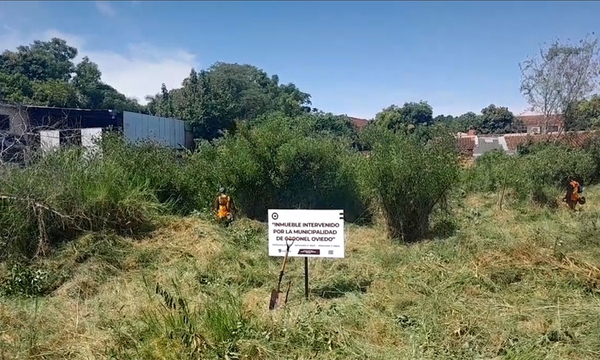 Viviendas abandonadas y baldíos potenciales criaderos de Aedes aegypti - OviedoPress