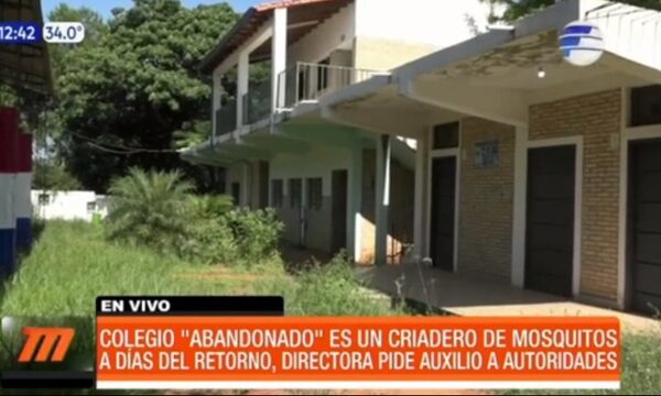 Colegio ''abandonado'' es un criadero de mosquitos | Telefuturo