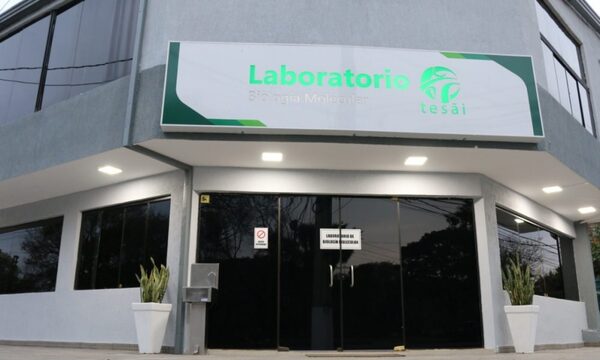 Fundación Tesãi proporciona diagnóstico de dengue, zika y chikungunya