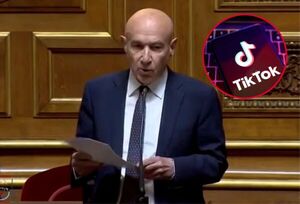 El Senado francés abrirá una comisión de investigación acerca de TikTok - Megacadena — Últimas Noticias de Paraguay