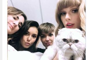 Ni te lo imaginas: ¿cuánto dinero tiene la gata de Taylor Swift?