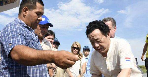 La Nación / Analizan presentar proyecto de inversión