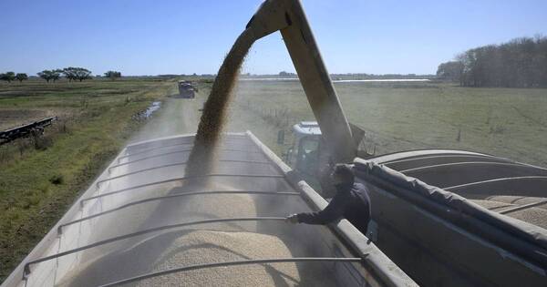 La Nación / Argentina prevé su peor cosecha en 14 años por sequía