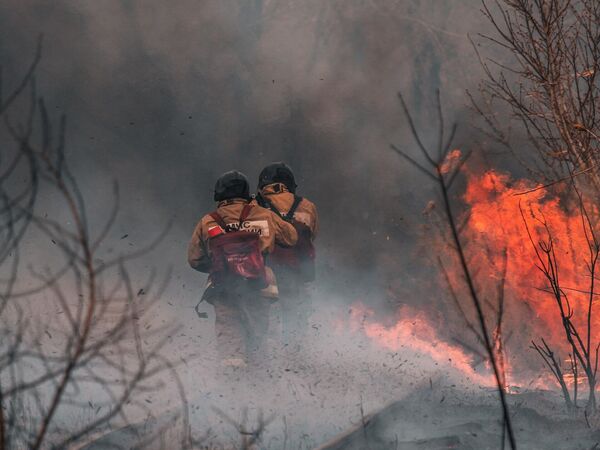 Hay más de 90 incendios fuera de control en Chile mientras crece la preocupación por el aumento de las temperaturas en Santiago - .::Agencia IP::.