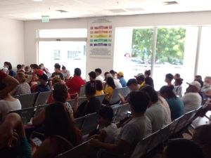 Chikungunya no da tregua y casos se multiplican - La Tribuna