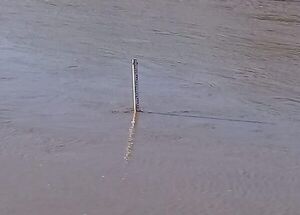 Diario HOY | Preocupación por crecida el Pilcomayo en zona de Pozo Hondo