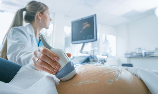 Propuesta para embarazar a mujeres con muerte cerebral - OviedoPress