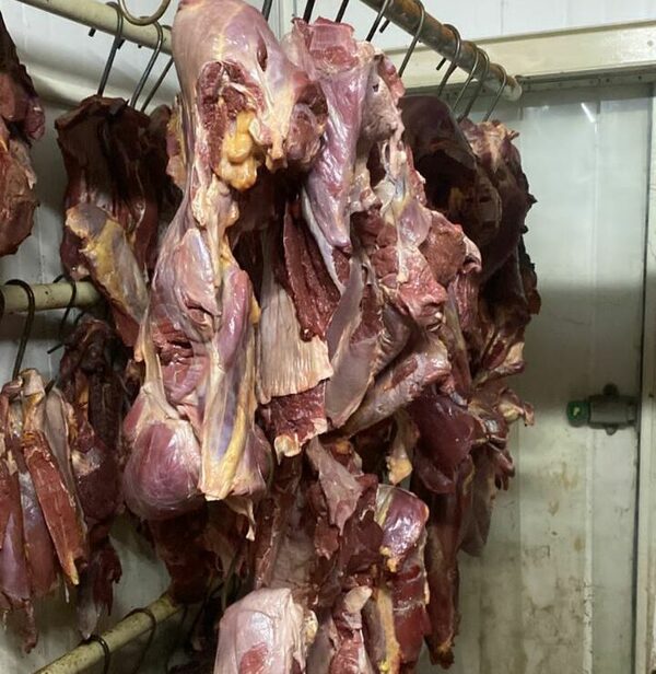 Diario HOY | Carnicerías en Luque intervenidas por vender carne de caballo como vacuno