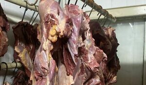 Carnicerías en Luque intervenidas por vender carne de caballo como vacuno