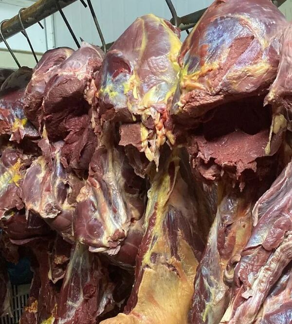 Luque: Allanan carnicerías que vendían carne de cabello sin permiso - La Clave