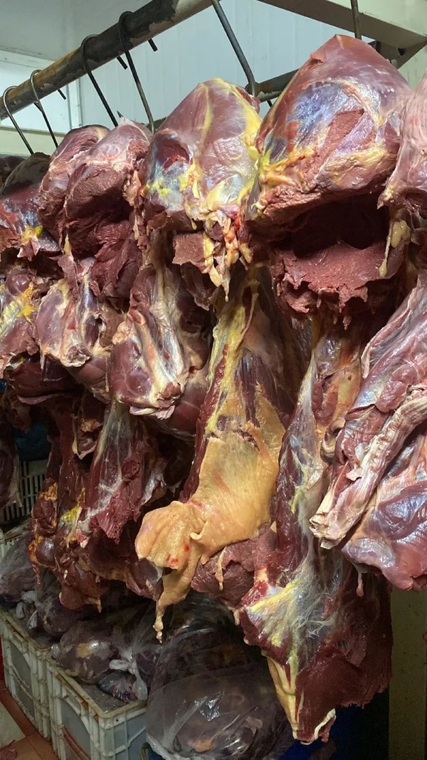 Luque: Allanan carnicería que vende carne de caballo como si fuera carne vacuna