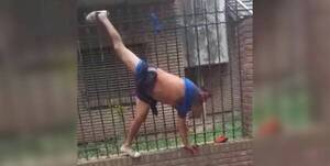 [VIDEO] No está haciendo ejercicios, es un ladrón que quedó colgado por la reja