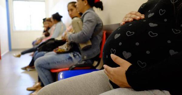 La Nación / Instan a embarazadas a redoblar cuidados ante arbovirus y a amamantar sin miedo