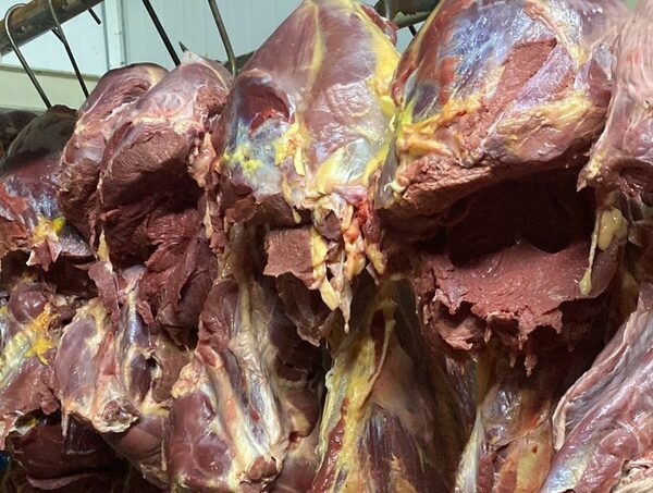 Intervienen carnicerías en Luque por vender carne de caballo como carne vacuna · Radio Monumental 1080 AM
