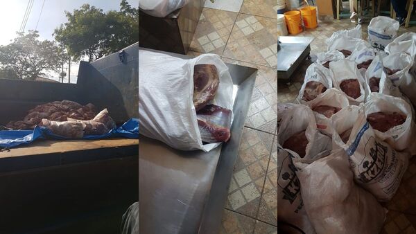 Carne de caballo vendida en Luque termina en lomiterías de Central, según Fiscalía