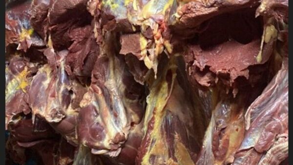 Vendían carne de caballo a lomiterías y asaditeros