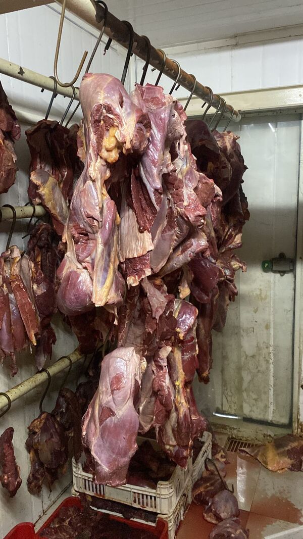 Intervienen carnicerías en Luque y decomisan miles de kilos de carne presumiblemente de caballo •