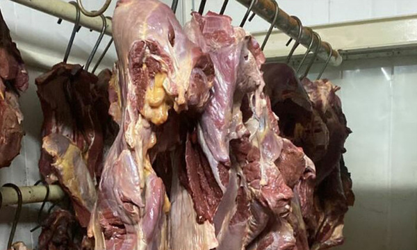 Intervienen carnicerías en Luque por vender carne de caballo como carne vacuna - OviedoPress