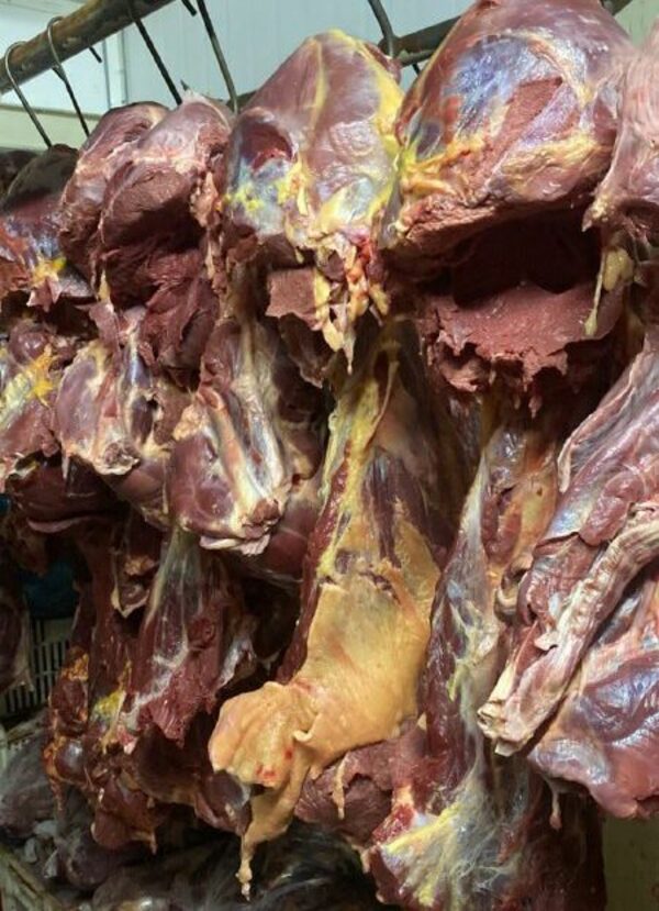 Diario HOY | ¿Comer carne de caballo es malo para la salud?