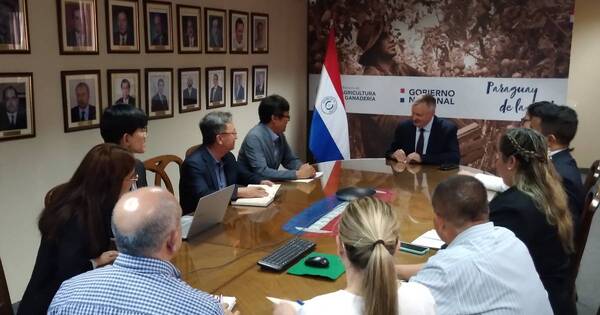 La Nación / Instituto de Corea apoyará investigación para fortalecer rubro del sésamo