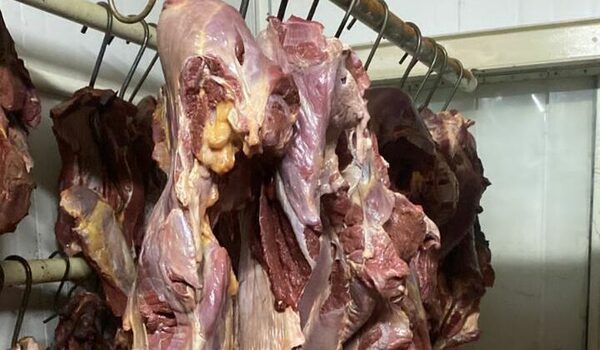 Carnicerías en Luque intervenidas por vender carne de caballo como vacuna
