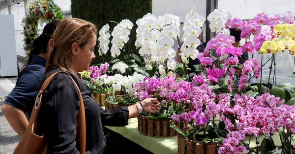 La Nación / Comenzó la primera edición de la feria de Floricultura del Paraguay